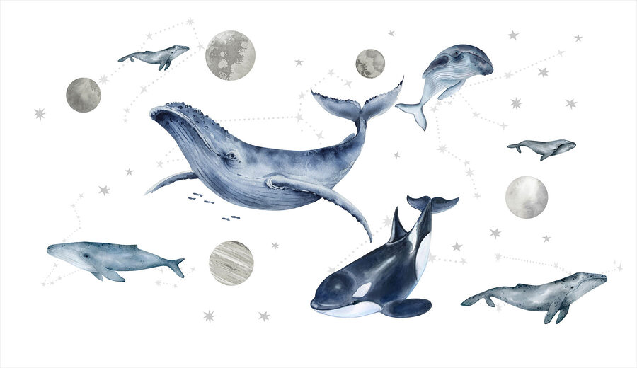 Gruppe von Walen und Fischen Gruppe von Walen und Fischen