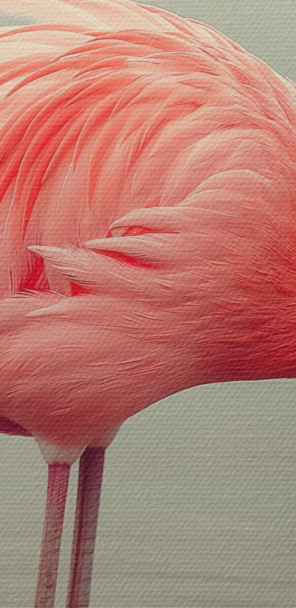 Flamingo im Wasser stehend Flamingo im Wasser stehend