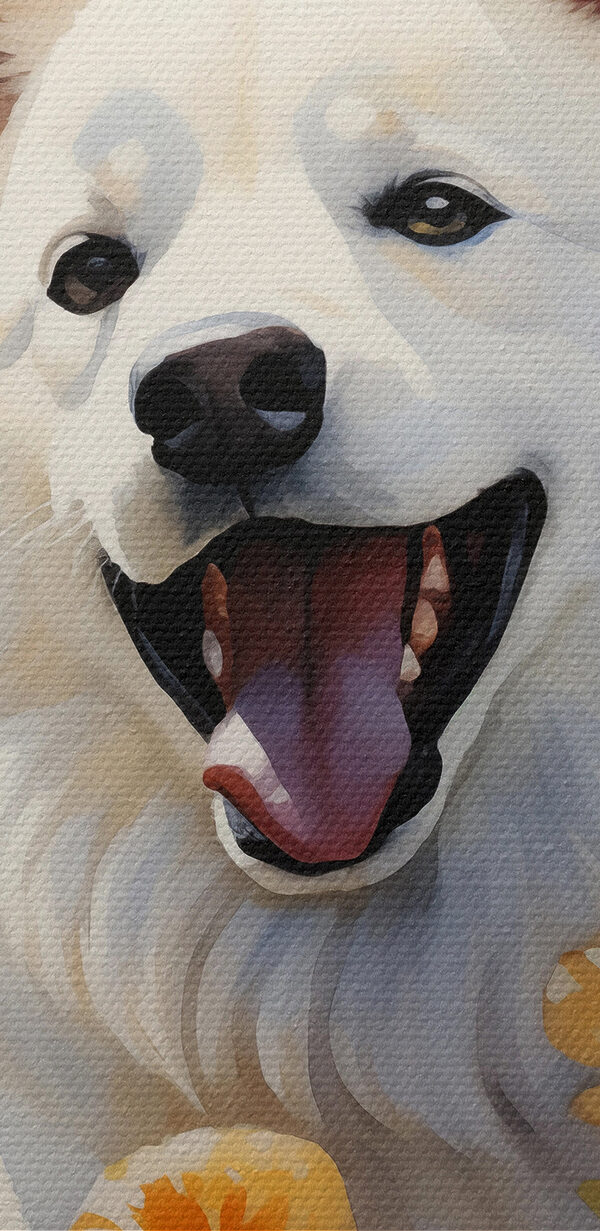 Weißer Hund mit Schmetterlingen in einem Blumenfeld Weißer Hund mit Schmetterlingen in einem Blumenfeld
