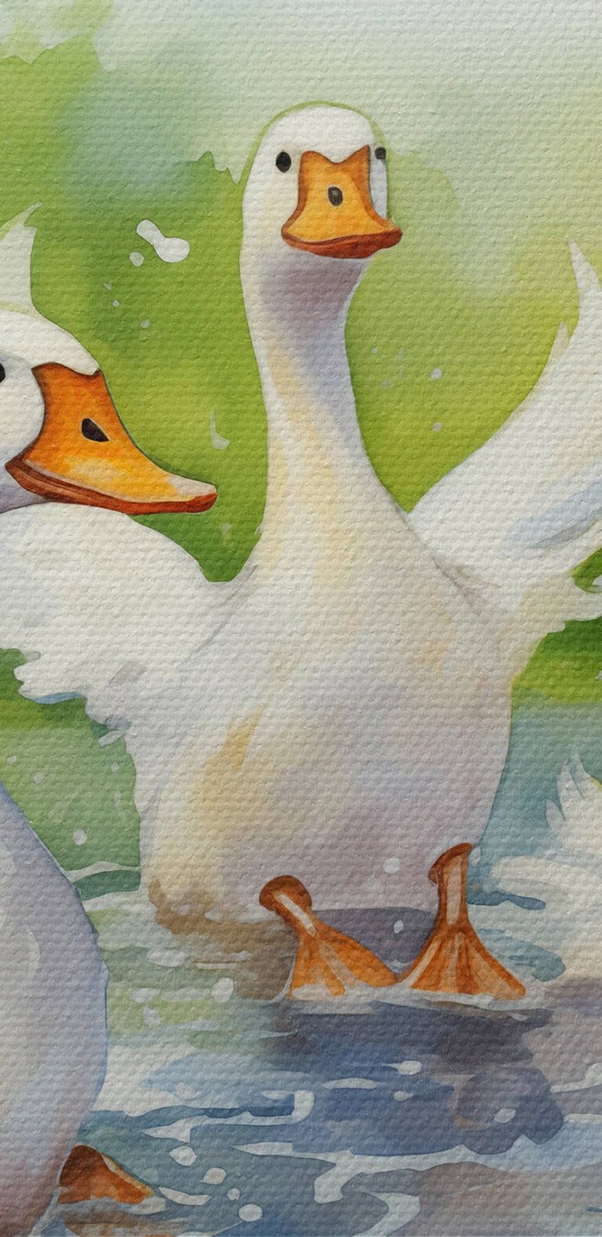 Gruppe weißer Enten schwimmen im Wasser