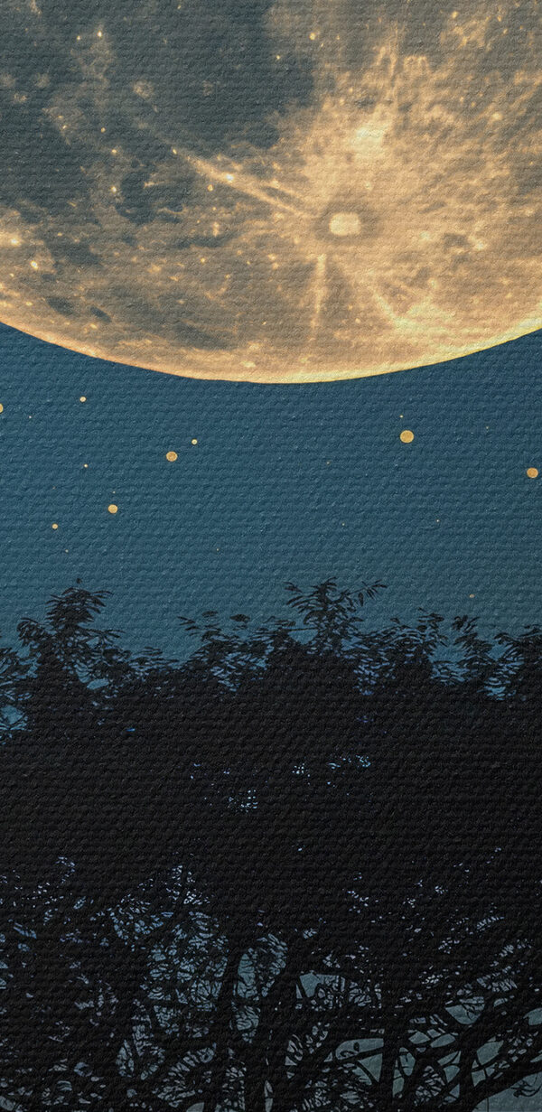 Baum und der Mond am Himmel Baum und der Mond am Himmel