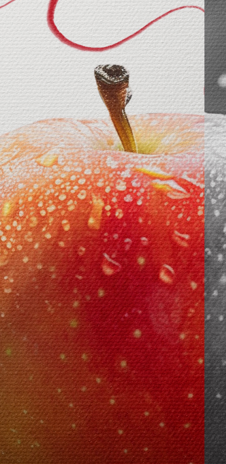 Roter und grauer Apfel Roter und grauer Apfel