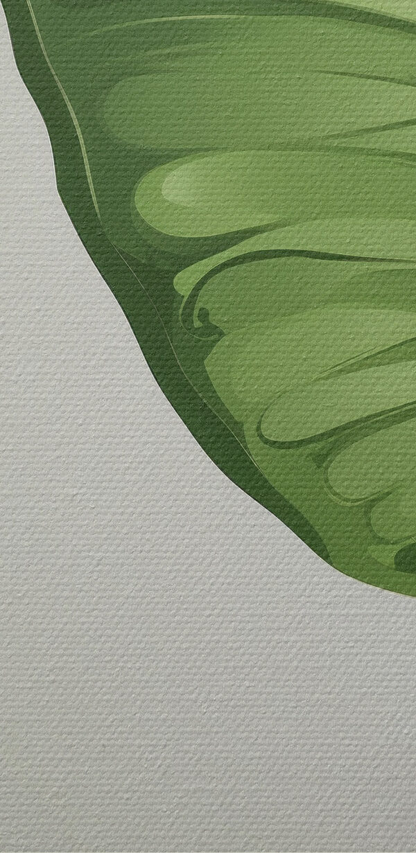 Grüner Schmetterling mit Flügeln Grüner Schmetterling mit Flügeln