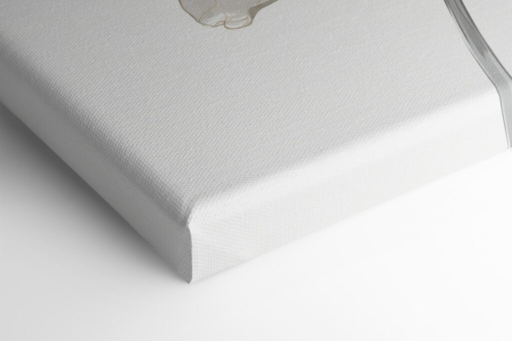 Close up of a flower