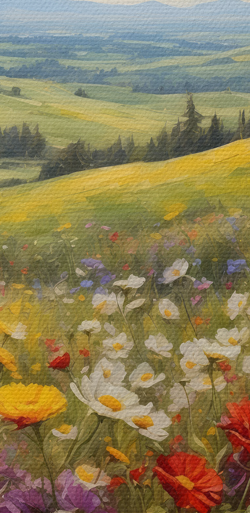 Ein Feld voller bunter Blumen Ein Feld voller bunter Blumen
