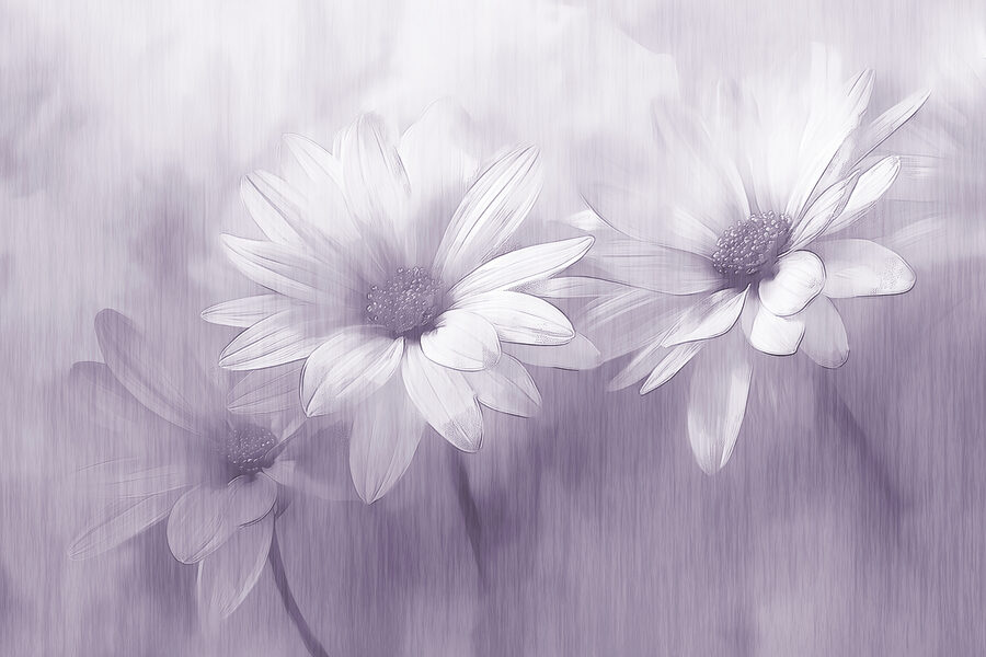 Nahaufnahme von Blumen