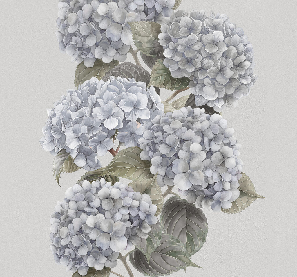 Nahaufnahme einer Blume Nahaufnahme einer Blume