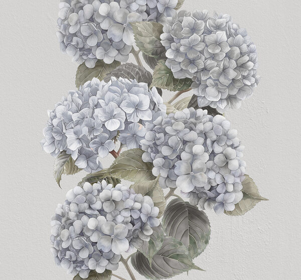 Nahaufnahme einer Blume Nahaufnahme einer Blume