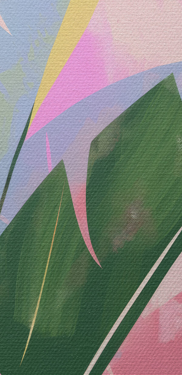 Bunte Blätter auf weißem Hintergrund Bunte Blätter auf weißem Hintergrund