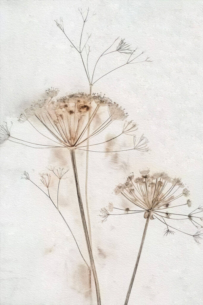 Delicate flowers in soft watercolor tones Delicate flowers in soft watercolor tones