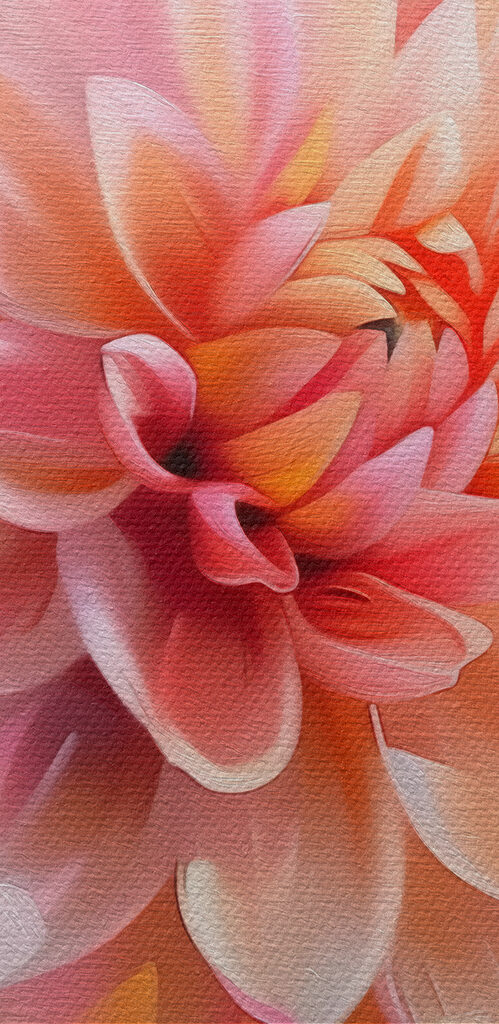 Delicate petals in soft hues Delicate petals in soft hues