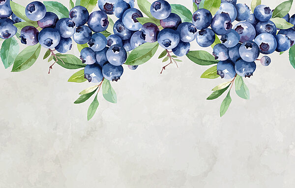 Blueberry with green leaves