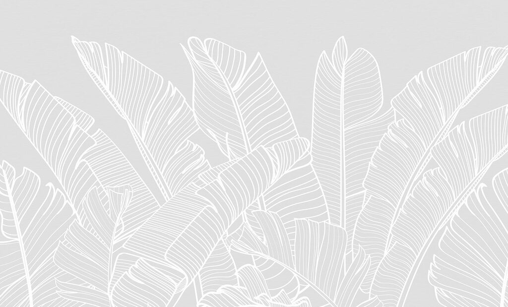 White line drawing of leaves