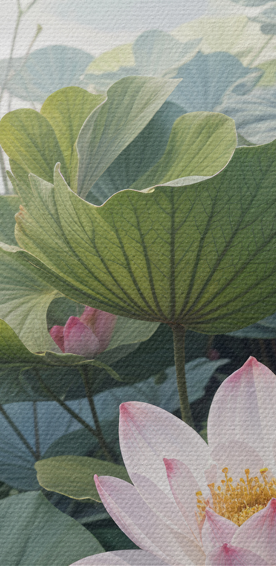 Gruppe von rosa Blüten und grünen Blättern