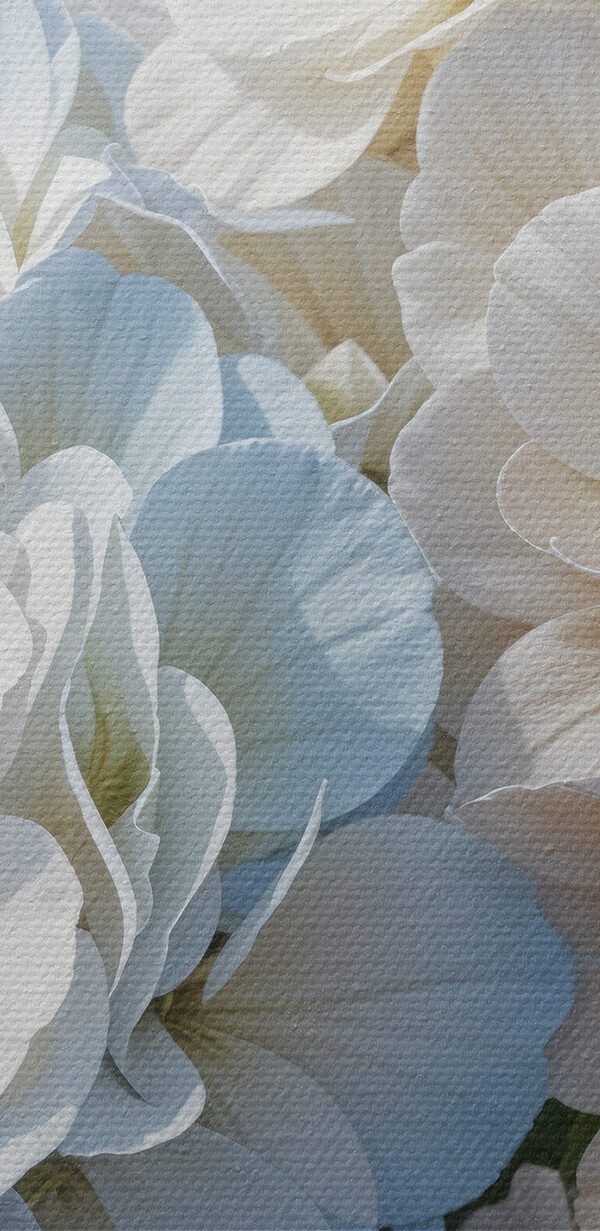 Gruppe von weißen und blauen Blumen Gruppe von weißen und blauen Blumen