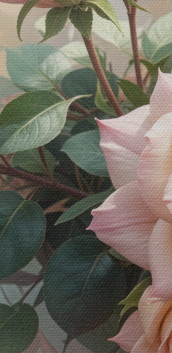 Gruppe von rosa Rosen Gruppe von rosa Rosen
