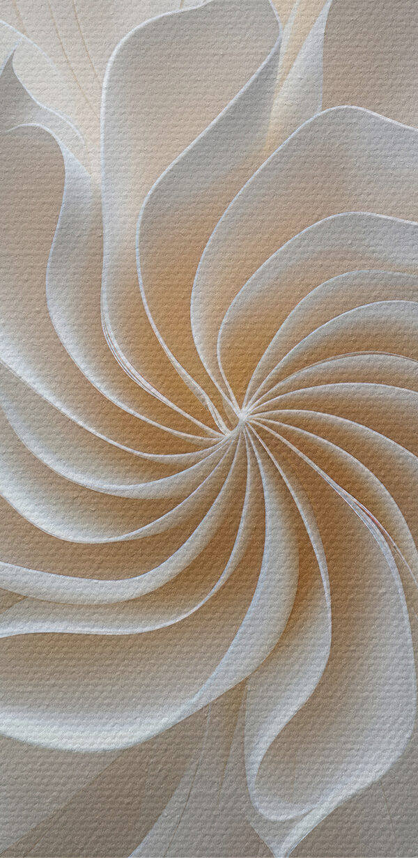Nahaufnahme einer Blume Nahaufnahme einer Blume