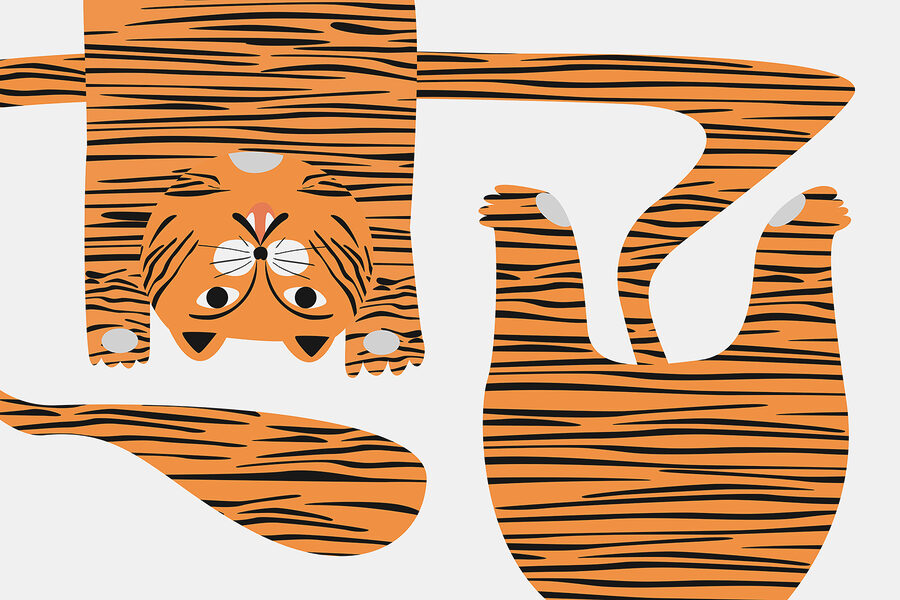 Fototapeten Tiger mit schwarzen Streifen – Bild 3