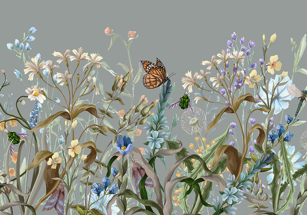 Schmetterling auf einer Blume Schmetterling auf einer Blume