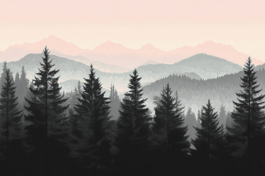 Group of trees in a forest Group of trees in a forest