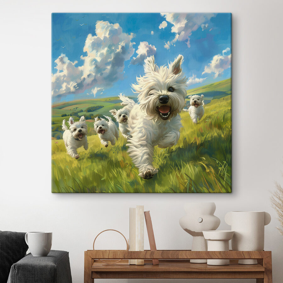 Gruppe von weißen Hunden, die in einem Feld laufen