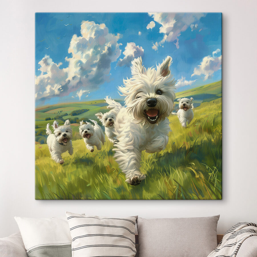 Gruppe von weißen Hunden, die in einem Feld laufen