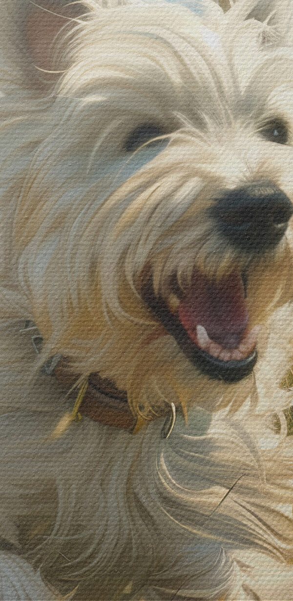 Gruppe von weißen Hunden, die in einem Feld laufen Gruppe von weißen Hunden, die in einem Feld laufen
