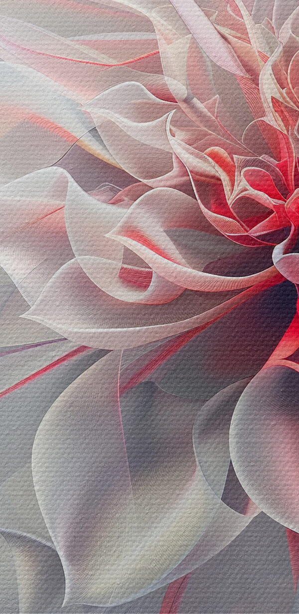 Nahaufnahme einer Blume Nahaufnahme einer Blume