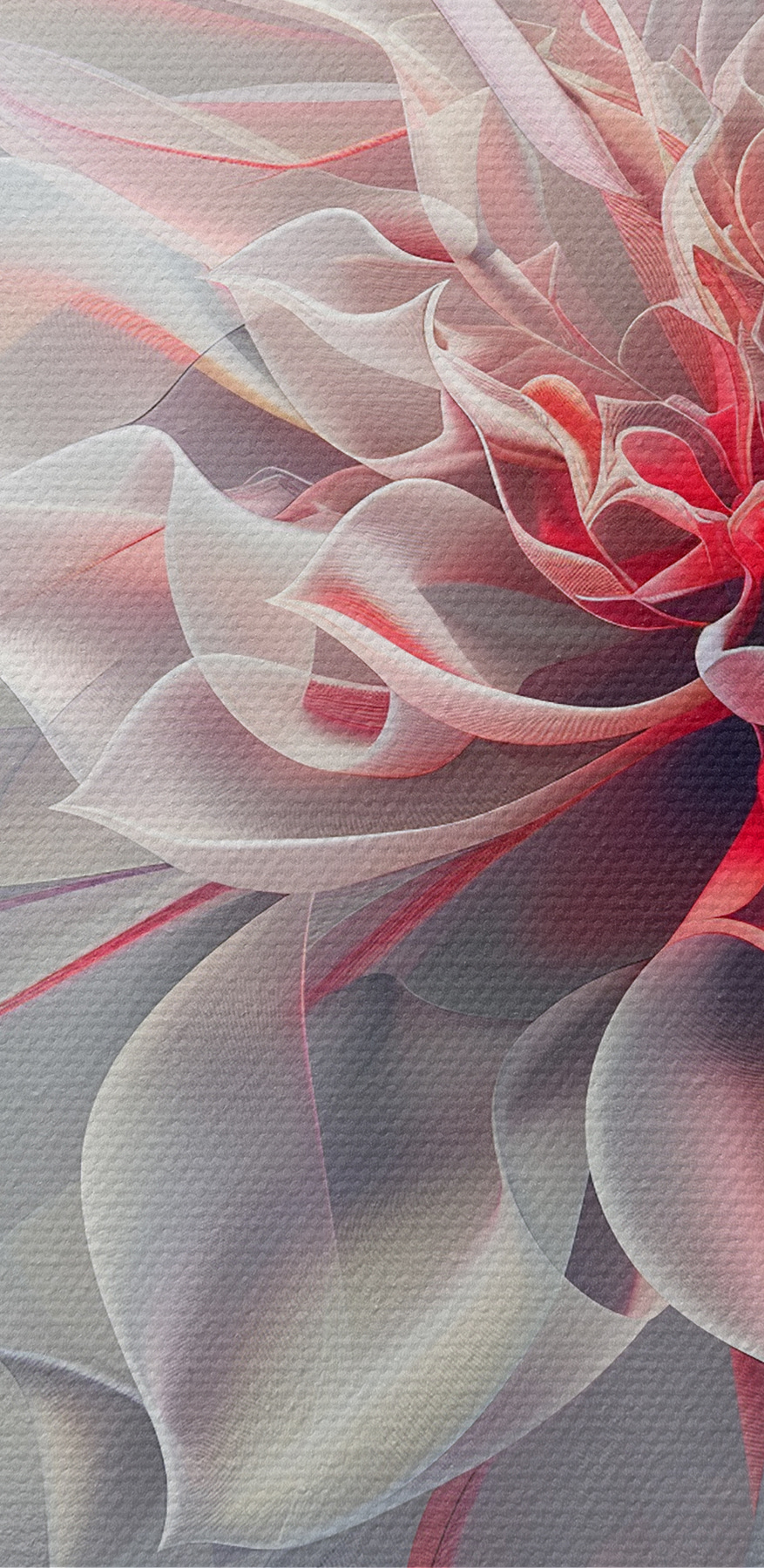 Nahaufnahme einer Blume Nahaufnahme einer Blume