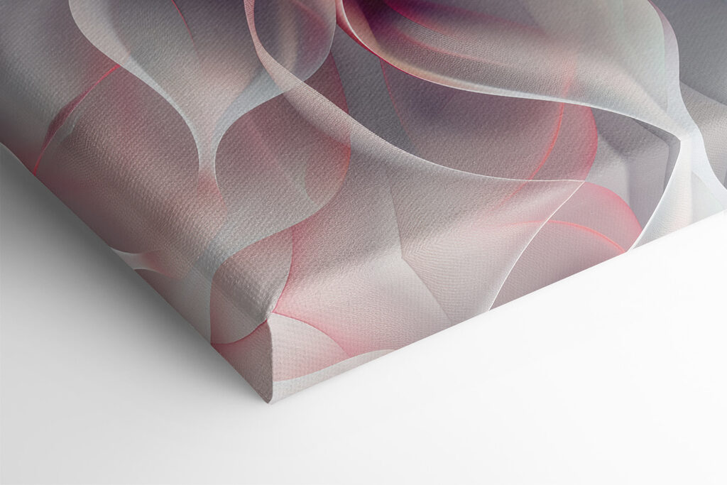 White and pink flower