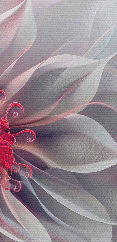 White and pink flower