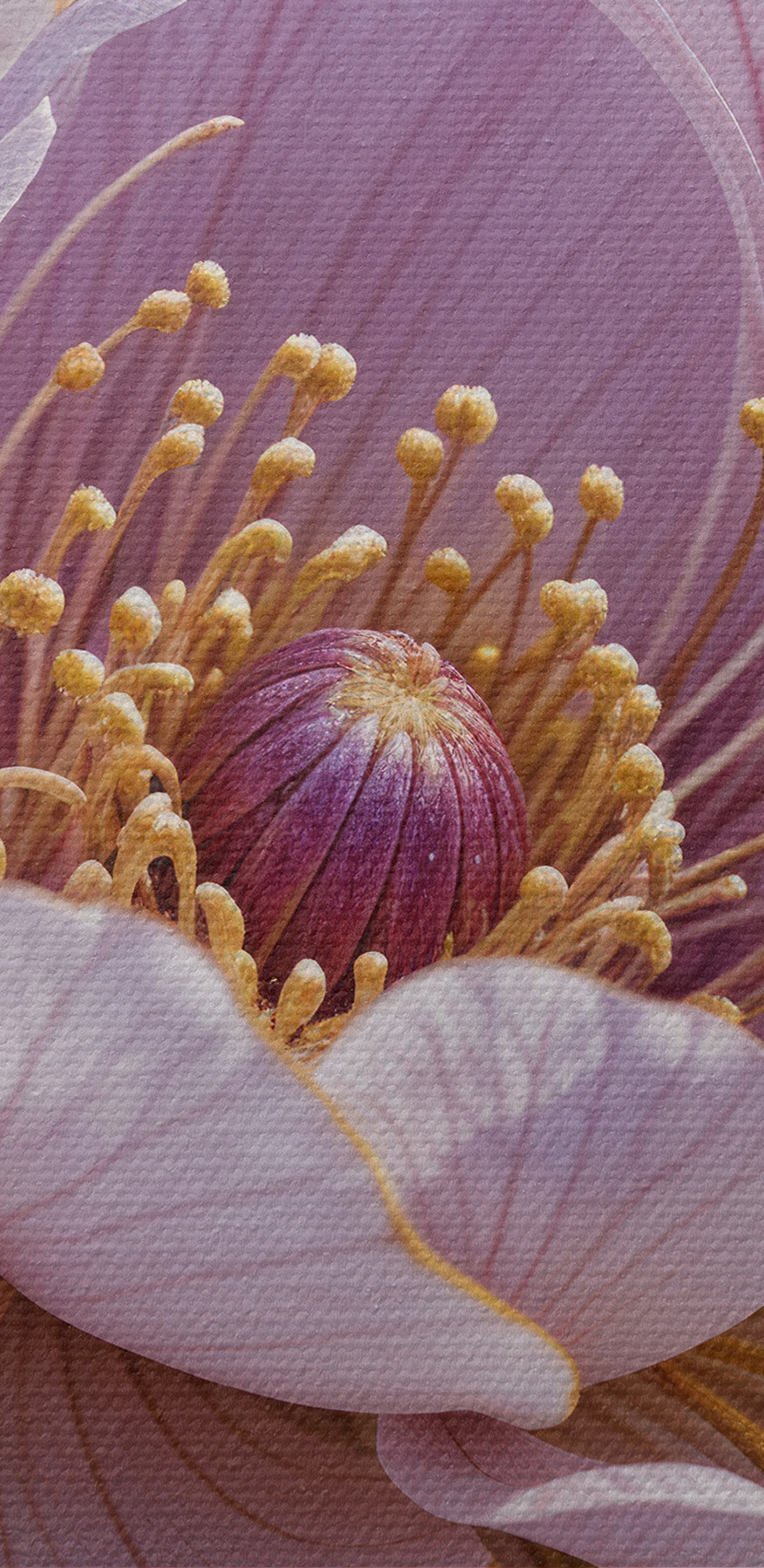 Nahaufnahme einer Blume
