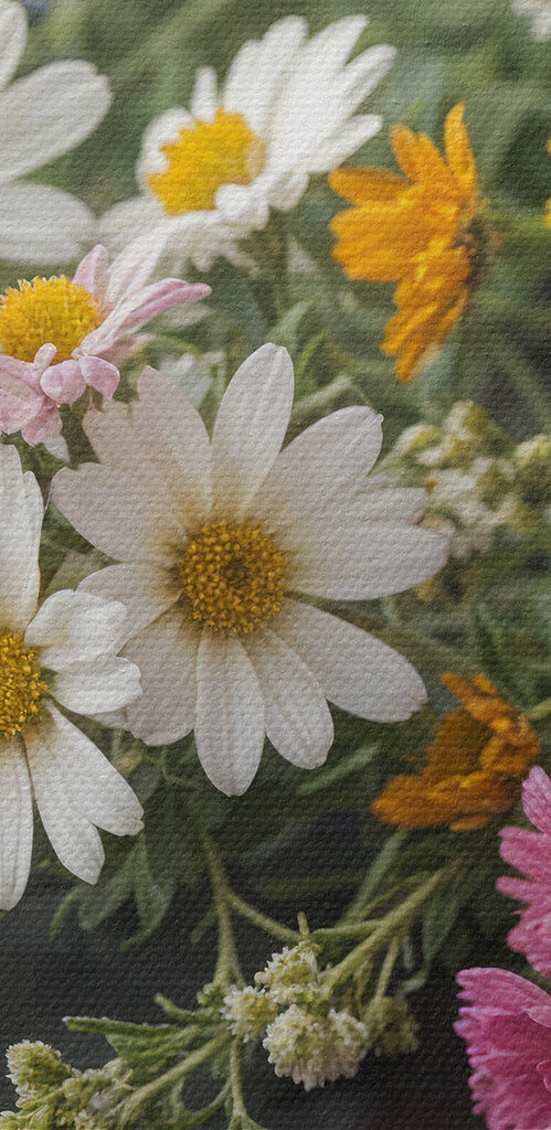 Group of colorful flowers