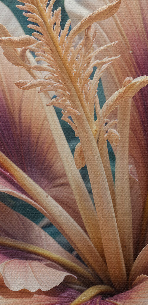 Vibrant foliage in soft colors Vibrant foliage in soft colors