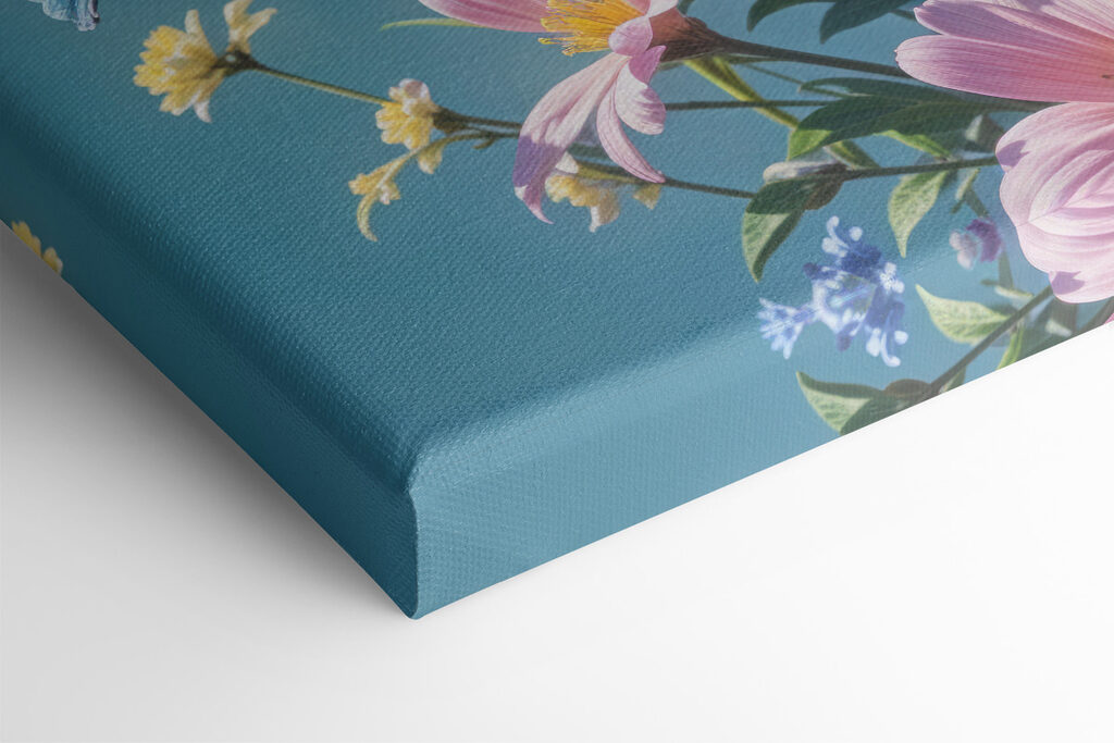 Butterfly on a flower