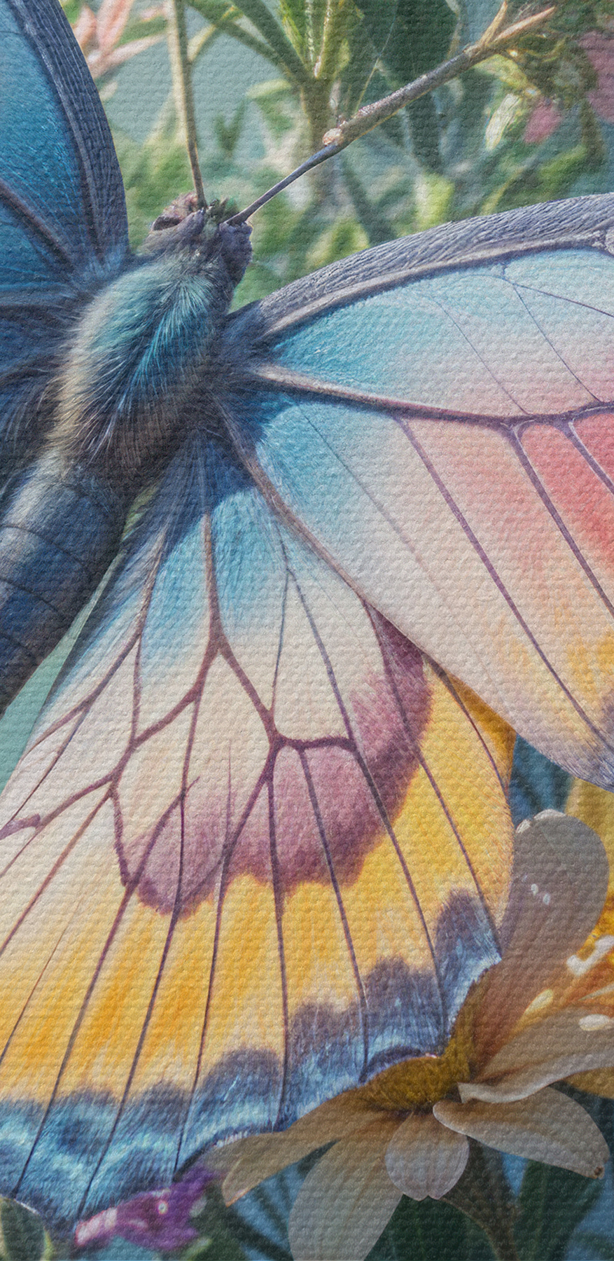 Schmetterling auf einer Blume