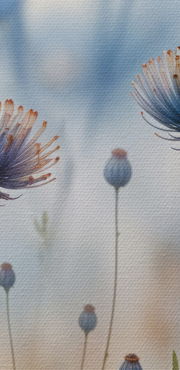 Nahaufnahme von Blumen Nahaufnahme von Blumen