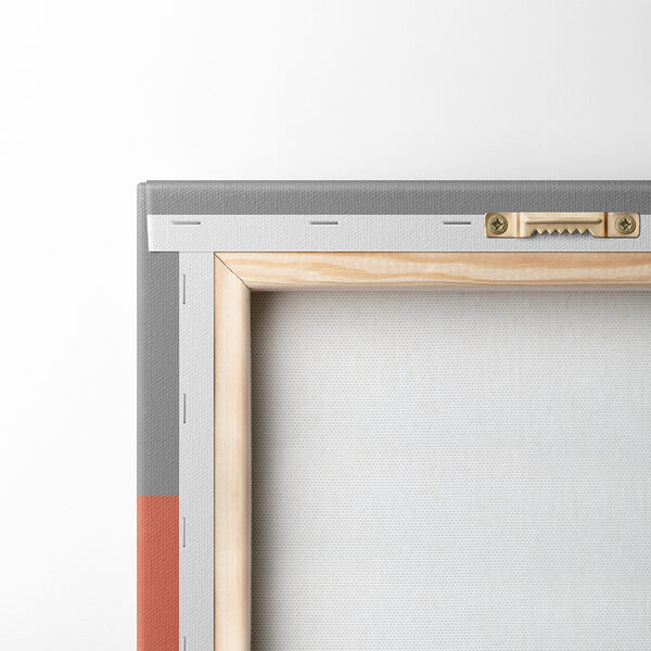 Group of cats on a pink background Group of cats on a pink background