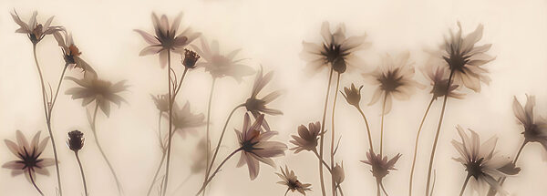 Gruppe von Blumen mit unscharfem Hintergrund Gruppe von Blumen mit unscharfem Hintergrund