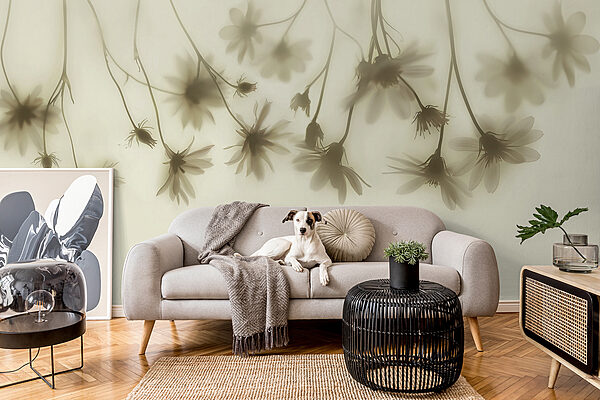 Group of flowers on a white background