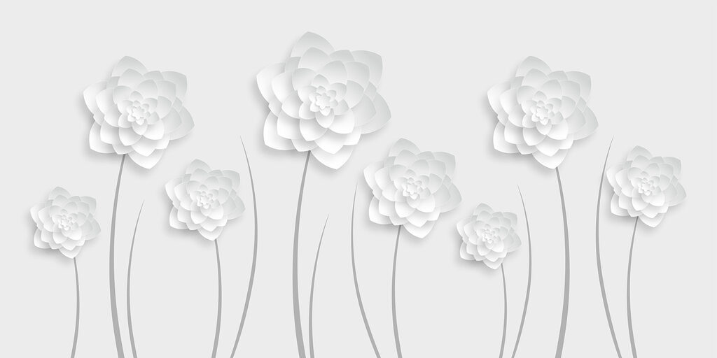 Weiße Papierblumen auf weißem Hintergrund Weiße Papierblumen auf weißem Hintergrund