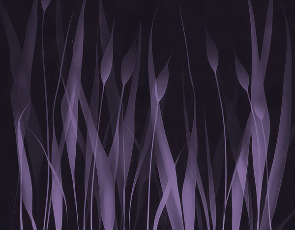 Purple grass with white lines