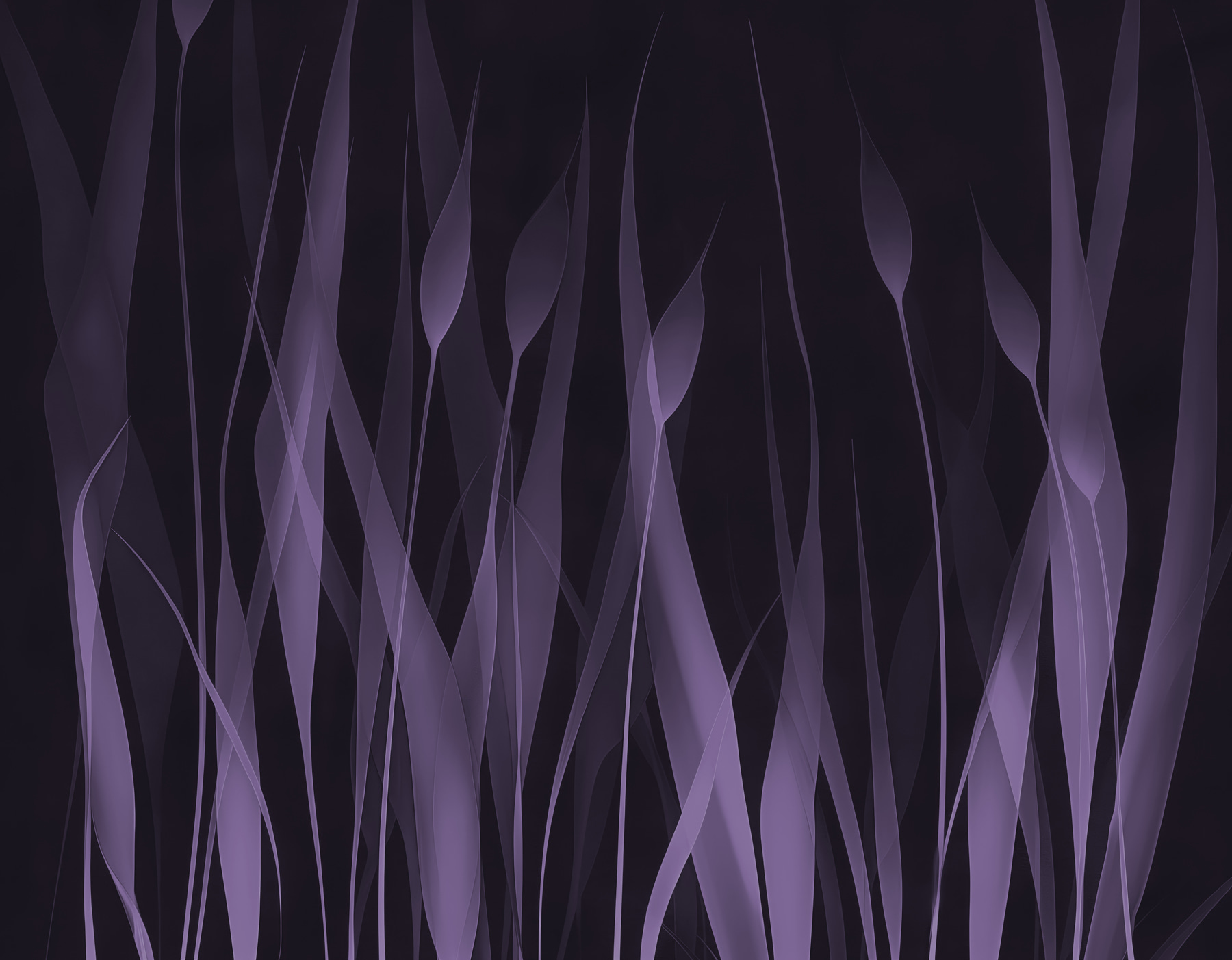 Purple grass with white lines