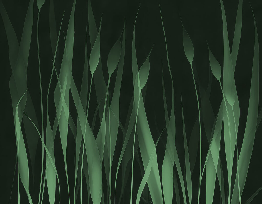 Grünes Gras mit schwarzem Hintergrund Grünes Gras mit schwarzem Hintergrund