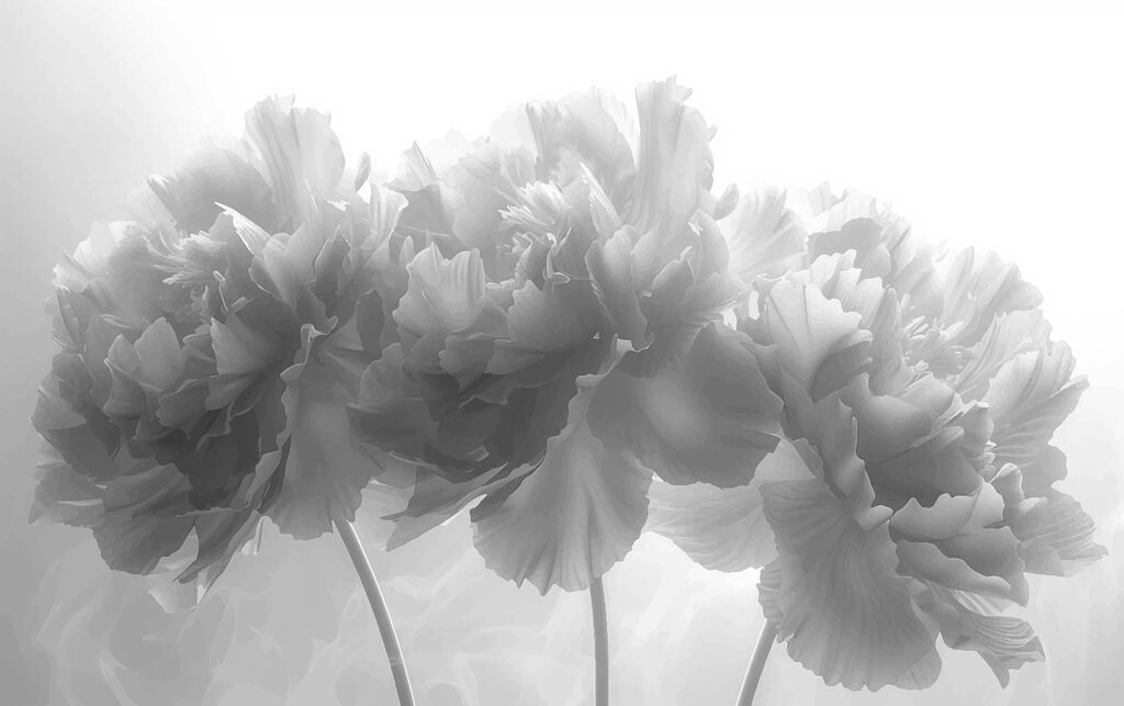 Gruppe von Blumen in einem weißen Hintergrund Gruppe von Blumen in einem weißen Hintergrund