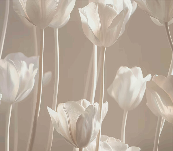 Gruppe von weißen Blumen Gruppe von weißen Blumen