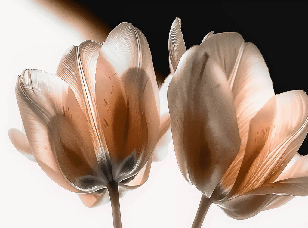 Nahaufnahme von Blumen Nahaufnahme von Blumen