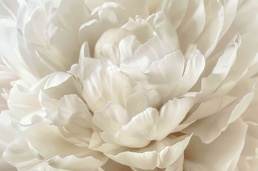 Nahaufnahme einer weißen Blume