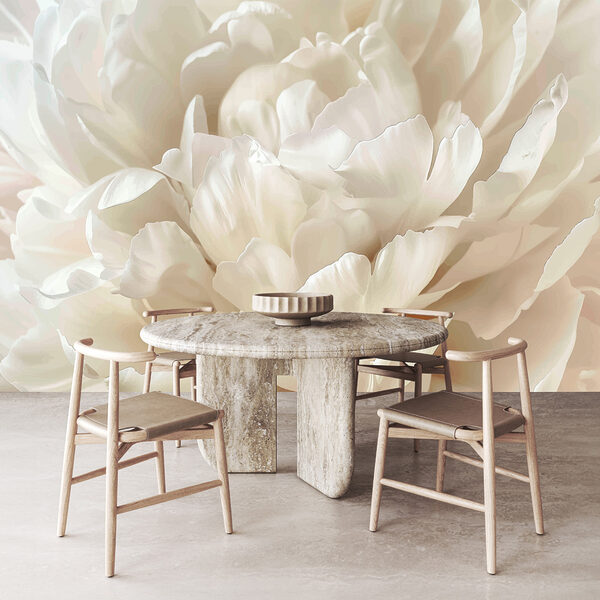 Nahaufnahme einer weißen Blume Nahaufnahme einer weißen Blume