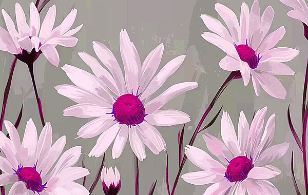 Gruppe von weißen Blüten mit lila Zentrum Gruppe von weißen Blüten mit lila Zentrum